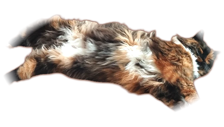 Юки спит